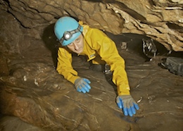 Near the Entrance - Bridge Cave