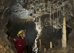 Photos and information for Llanelly Quarry Pot