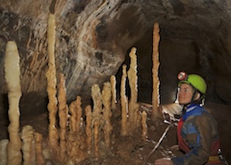 The Mini Columns - Ogof Ffynnon Ddu 2