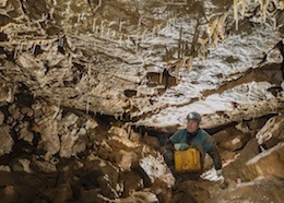 Tinkle Chambers - Ogof Gwaliau Gwynionr