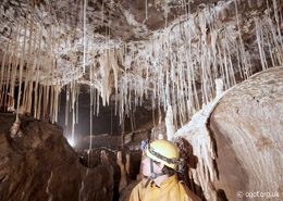 Formations in the Ogof Capel Streamway