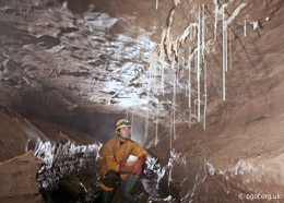 Formations in the Ogof Capel Streamway