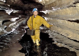 Phreatic Shelving in Ogof Clogwyn