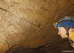 Formations in the roof - Right Hand Series - Ogof Cynnes