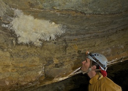 The Geryon's Lair - Ogof Draenen