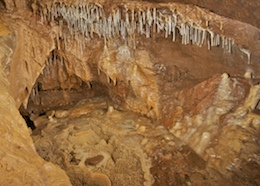 Decorated Grotto - Ogof Fawr