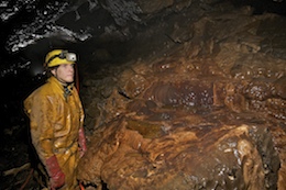 Orange Blossom Trail - Ogof Fawr