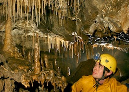 The Garden of Delights - Ogof Nant Rhin