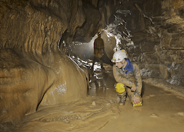 Calcite Formations - Main Passage - Ogof Pasg