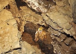 The Rock Bridge - Ogof Pont Gam