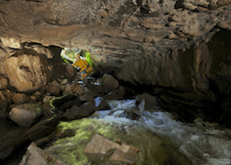 The Tradesman's Entrance - Porth Yr Ogof