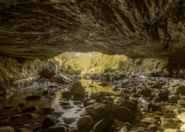 Inside the Main Entrance - Porth Yr Ogof Cave