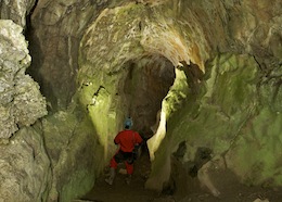 Near the Upper Entrance - Powell's Cave