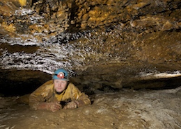 Bedding Crawls - Pwll Y Pasg