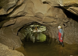 Near the Entrance - White Lady Cave