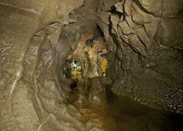 Photos and information for White Lady Cave